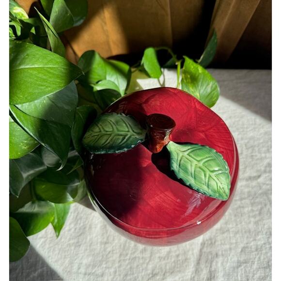 Vintage Hand Painted Apple Canister - Picture 2 of 7